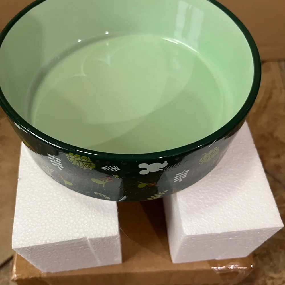 Disney Green Mickey Mouse Floral Bowl